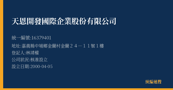 天恩開發國際企業股份有限公司的照片-統編 16379401(嘉義縣) 公司登記資料與營業項目詳細圖表