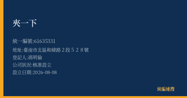 夾一下的照片-統編 61635331(臺南市) 公司登記資料與營業項目詳細圖表