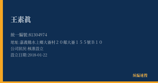 王素眞的照片-統編 81304974(嘉義縣) 公司登記資料與營業項目詳細圖表