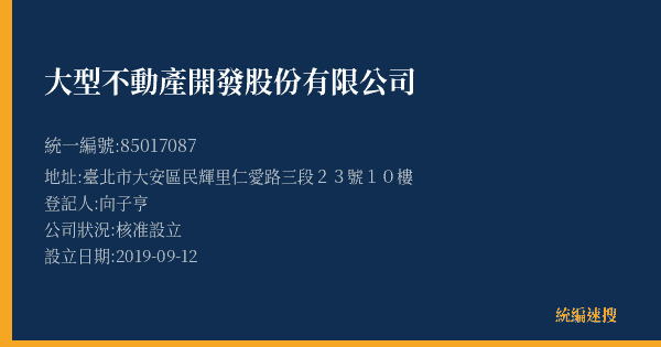 大型不動產開發股份有限公司的照片-統編 85017087(臺北市) 公司登記資料與營業項目詳細圖表