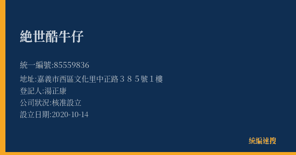 絶世酷牛仔的照片-統編 85559836(嘉義市) 公司登記資料與營業項目詳細圖表