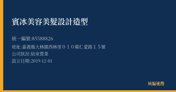 賓冰美容美髮設計造型的照片-統編 85588826(嘉義縣) 公司登記資料與營業項目詳細圖表