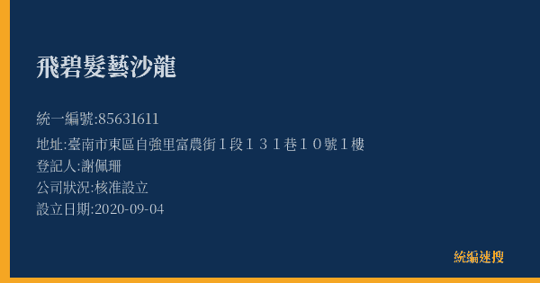 飛碧髮藝沙龍的照片-統編 85631611(臺南市) 公司登記資料與營業項目詳細圖表