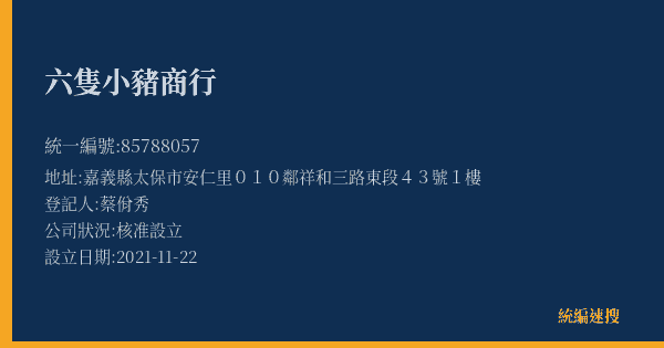 六隻小豬商行的照片-統編 85788057(嘉義縣) 公司登記資料與營業項目詳細圖表