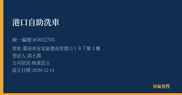 港口自助洗車的照片-統編 85852705(臺南市) 公司登記資料與營業項目詳細圖表