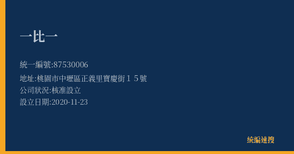 一比一的照片-統編 87530006(桃園市) 公司登記資料與營業項目詳細圖表