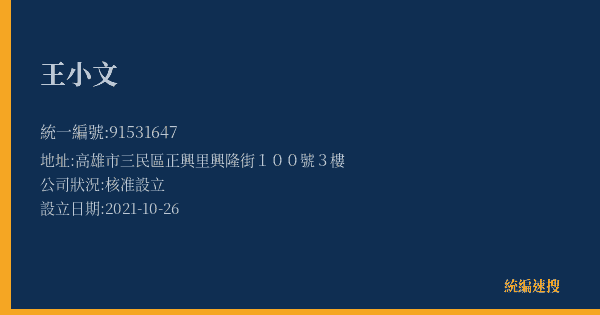 王小文的照片-統編 91531647(高雄市) 公司登記資料與營業項目詳細圖表