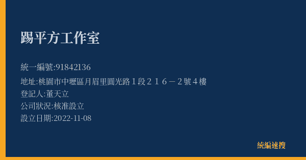 踢平方工作室的照片-統編 91842136(桃園市) 公司登記資料與營業項目詳細圖表